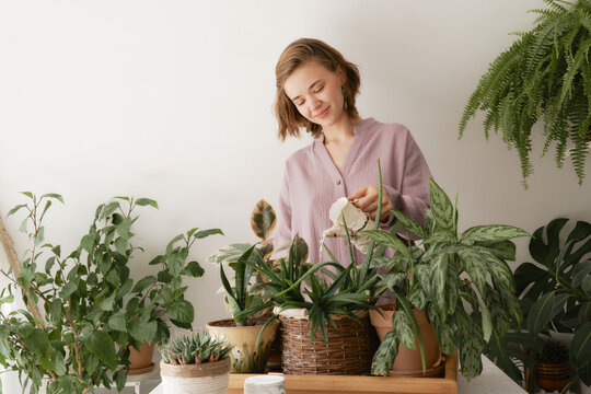 Cute Girl Watering Beautiful Indoor Green Plants Growing In Different Pots. Front View.