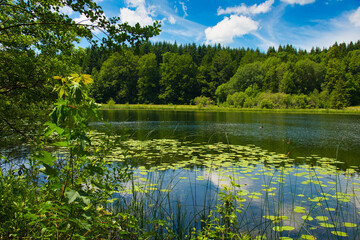 Fototapeta na wymiar Lacs de Maclu im französischen Jura