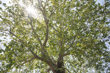 강원도립화목원