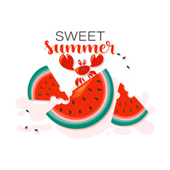Ripe juicy watermelon slices. Vector funny crab. Sweet summer. Wonderful cheerful character for an emblem, postcard, poster. Vector illustration