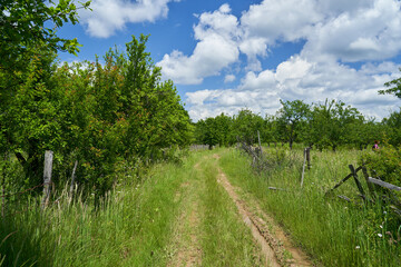 Muddy rural road in the countryside