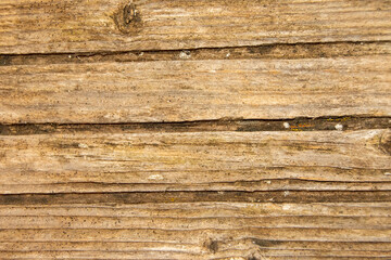 Textura o fondo de madera
