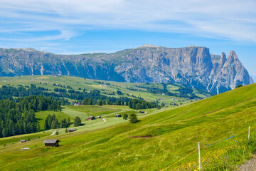 Fototapeta na wymiar Idyllic alp valley with flowering meadows and mountains