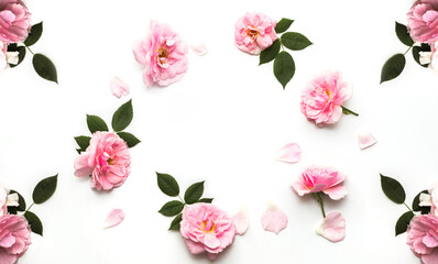 Flowers composition made of pink roses isolated on white background. Floral design. Flat lay, top view, copy space
