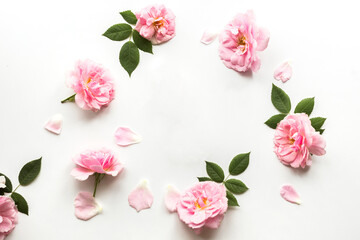 Flowers composition made of pink roses isolated on white background. Floral design. Flat lay, top view, copy space