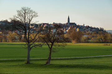 Nabburg mit zwei Bäumen im Vordergrund zum Sonnenuntergang