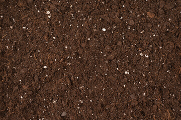 Black land ground for plant background