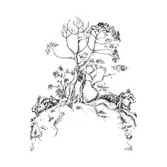 Trees on the cliff. Hand drawn sketch on white.  Vector realistic illustration. Black and white.