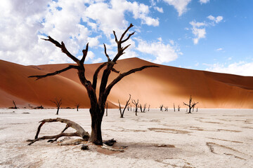 Fototapeta na wymiar Deadvlei in Sossusvlei desert.