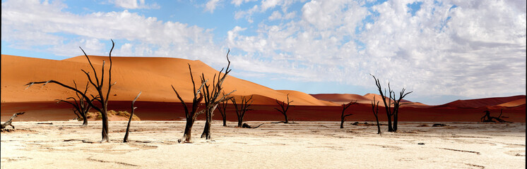 Deadvlei in Sossusvlei desert.