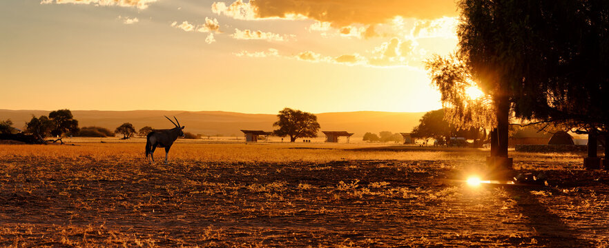 Camp in Sossusvlei.
