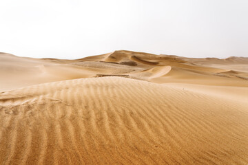 Desert near Swakopmund, Namibia.
