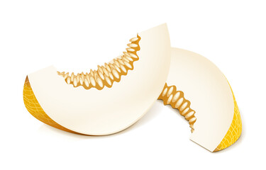 Melon. Ripe delicious juicy fruit, Isolated on white background. Eps10 vector illustration.