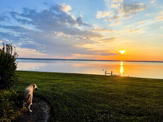 A Yellow Labrador Retriever enjoys the sunrise across the Rappahannock River in Tappahannock,...
