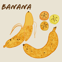Banana fruit vector illustration. Colorful textured modern design.