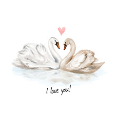 Vector watercolor hand painted illustration of couple of swans in love. Isolated on white background. © NLyona