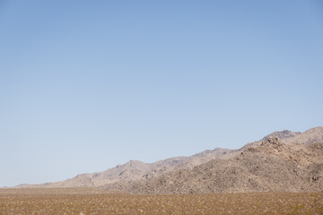 Joshua Tree National Park