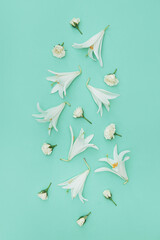 Creative summer composition made of beautiful white lily and rose flowers on pastel mint background. Nature concept. Top view. Flat lay