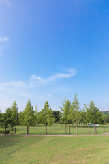 Obraz premium 남양주 물의 정원