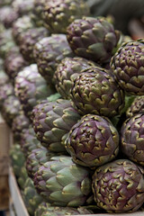 Fototapeta premium band of fresh artichoke vegetable in Rome market