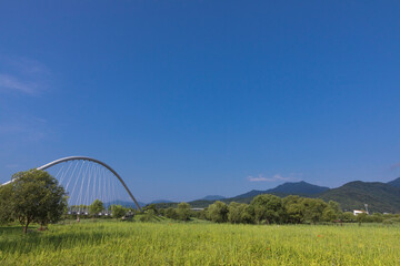 Fototapeta premium 남양주 물의 정원
