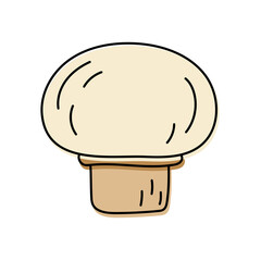 Mushroom champignon. Vegetable sketch. Color simple icon. Hand drawn vector doodle illustration