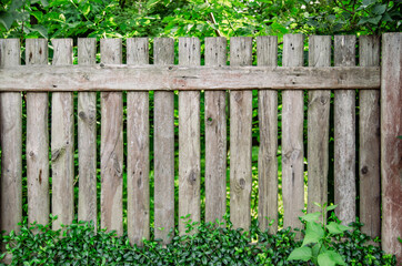 Aged wooden fence with greenery