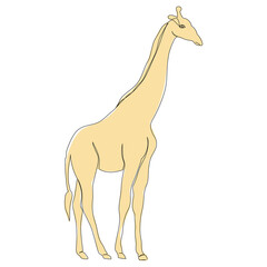 yellow giraffe line drawing, picture, isolated