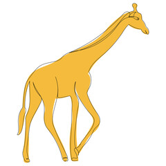 yellow giraffe line drawing, picture, isolated, vector