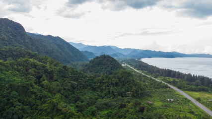 A view of the tropical rainforest in Aceh Indonesia