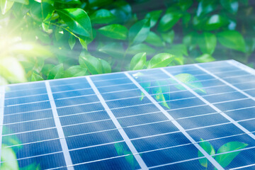 Solar panel among green leaves.