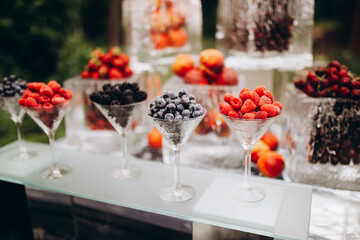 table setting for a party with fruit plates in the garden