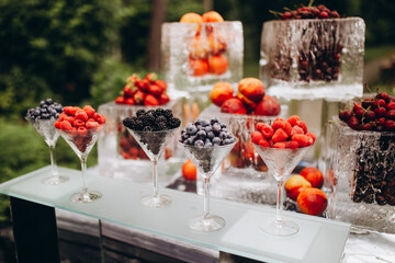 table setting for a party with fruit plates in the garden