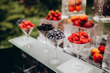 table setting for a party with fruit plates in the garden