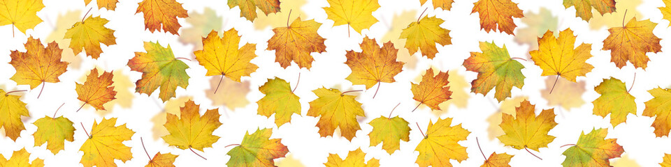 Fototapeta na wymiar Autumn leaves seamless pattern