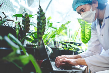 biology scientist working to research a growth plant in agriculture greenhouse, nature organic science technology or biotechnology in botany laboratory, people examining vegetable for food industry