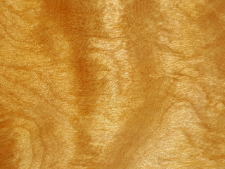 Unusual and very beautiful birch wood texture with iridescent effect