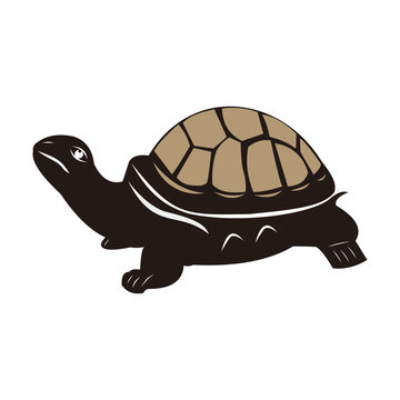 turtle icon vector illustration sign