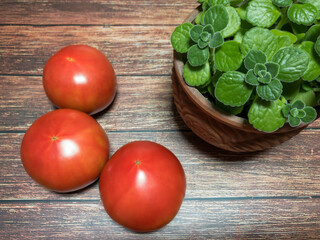 Tomatoes next to plant on wooden table background