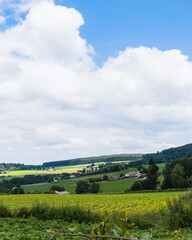 Obraz premium Galicia landscape with lots of green plants and deep blue sky