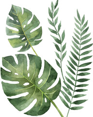 Watercolor vector arrangement of tropical leaves isolated on a white background.