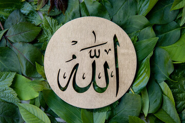 Name of Allah in arabic on gold wood, green leaves background. Calligraphy means the God Al Mighty of Islam Religion. - obrazy, fototapety, plakaty