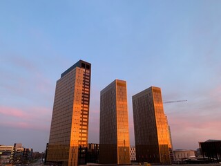 Fototapeta premium office building