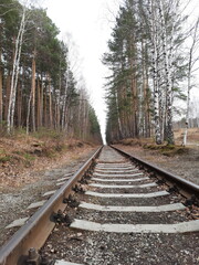 Railway tracks extending into the distance. Rails in the forest.