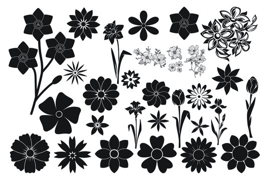 Floral Shirt Vector Art, Icons, and Graphics for Free Download