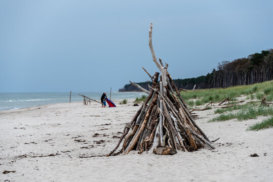 Treibgut angeschwemmtes Holz am Prerower Westrand auf dem Dar&szlig; an der Ostseek&uuml;ste