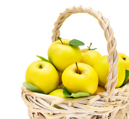 Wicker basket of fresh juicy yellow apples with green leaves closeup, crop view, isolated on white background. Gardening, summer or autumn harvest of ripe fruits, natural antioxidant.