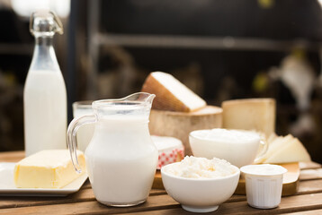 jug of milk, bottle of kefir, cottage cheese, cream and yogurt in bowl, cheese, butter on table in barn