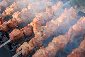 Kebabs on shampoos roast on a mangal with a smoke.