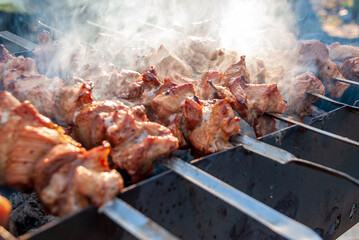 Kebabs on shampoos roast on a mangal with a smoke.